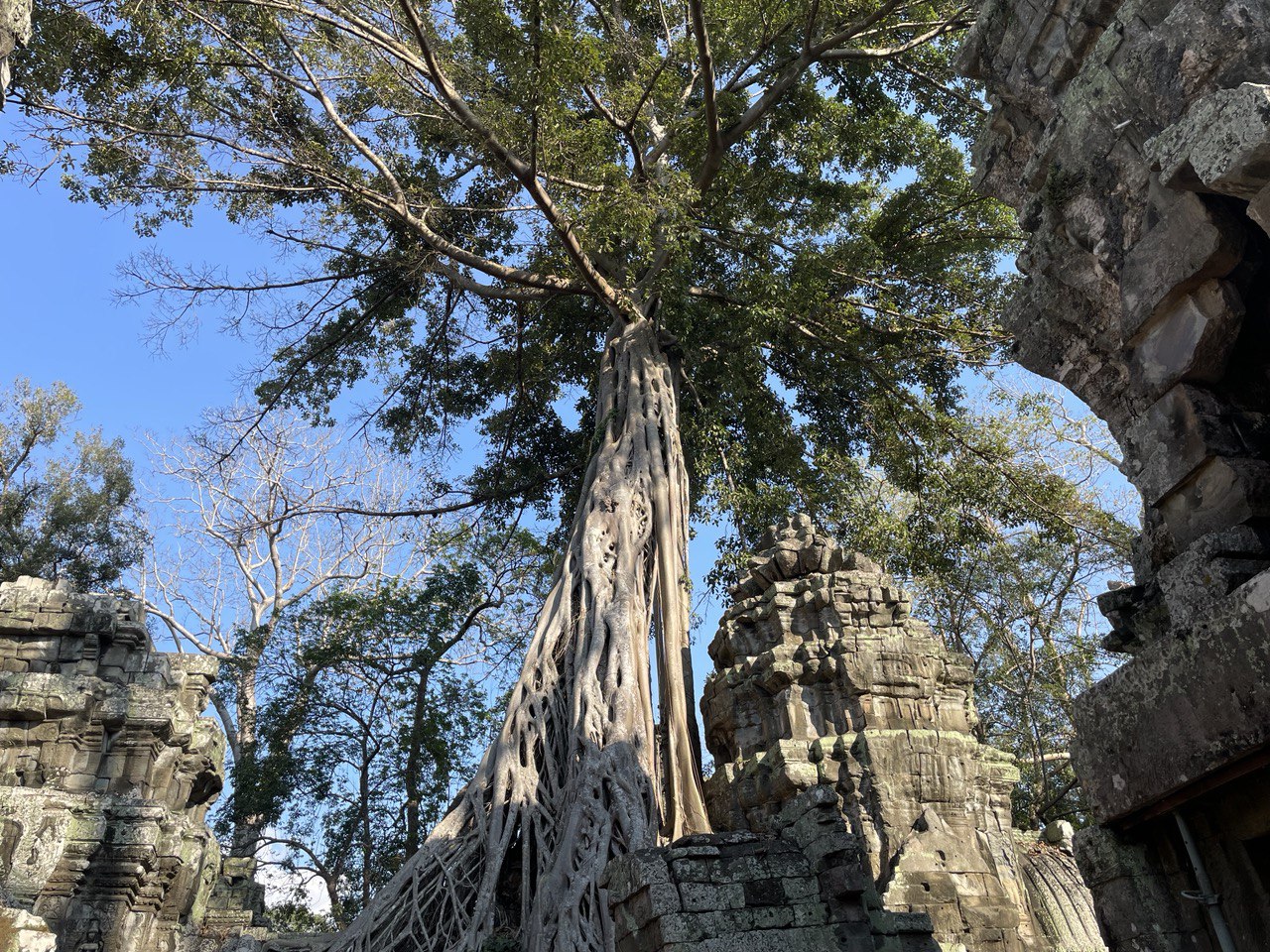 Buses are good for productivity in journaling haha.